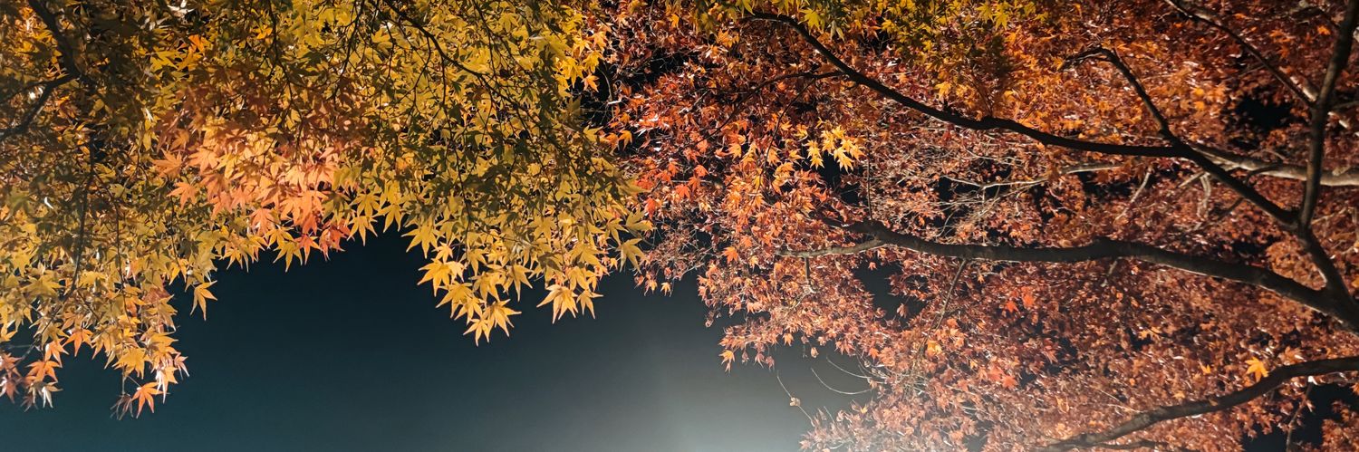 windbell_Noir's profile banner image