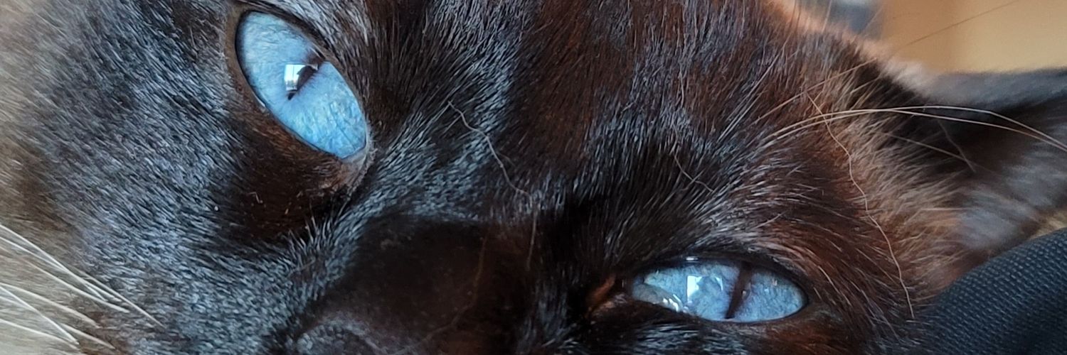 YoomLoon's profile banner image