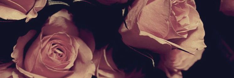 MsDequit's profile banner image