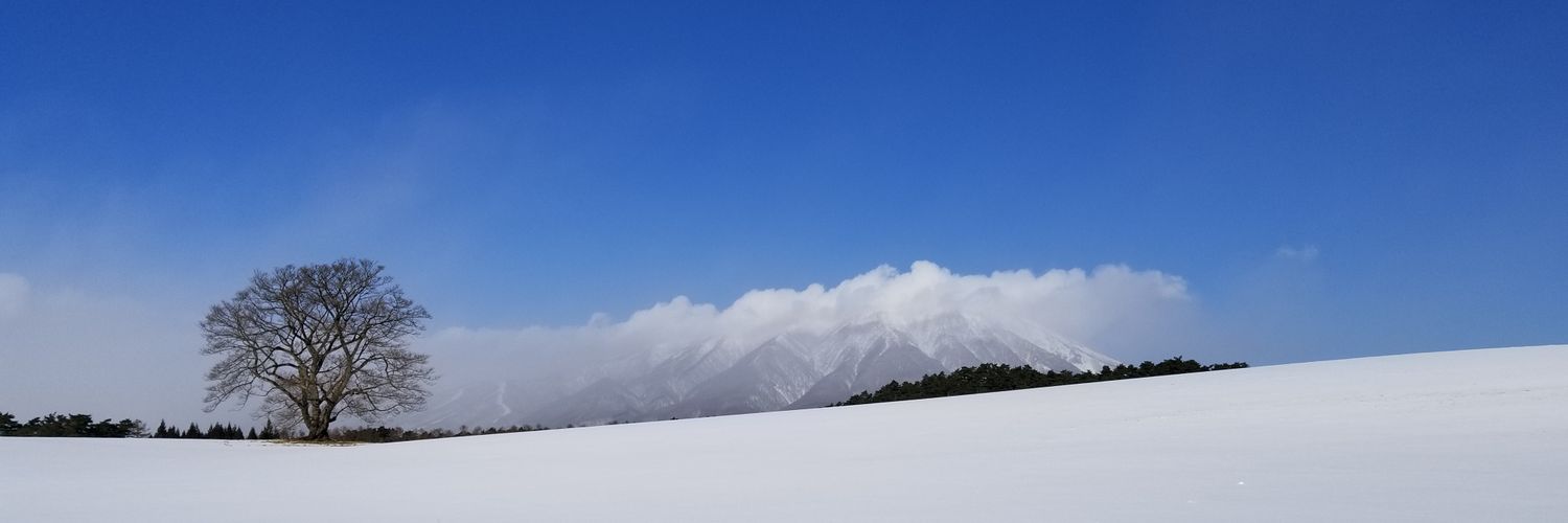 SHINOMURA's profile banner image