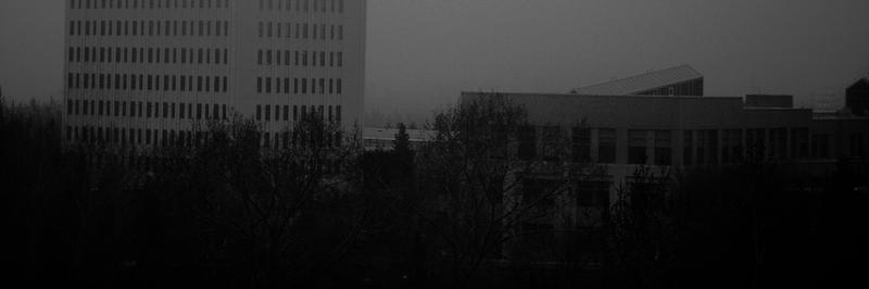 thistled's profile banner image