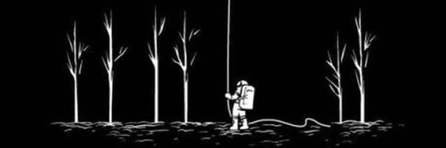 _fnf16's profile banner image