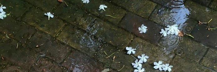 Love__Cydney's profile banner image