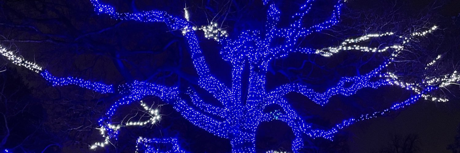 Amy K. H. - Joyful Warrior Princess banner