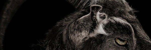 Darkored Profile Banner