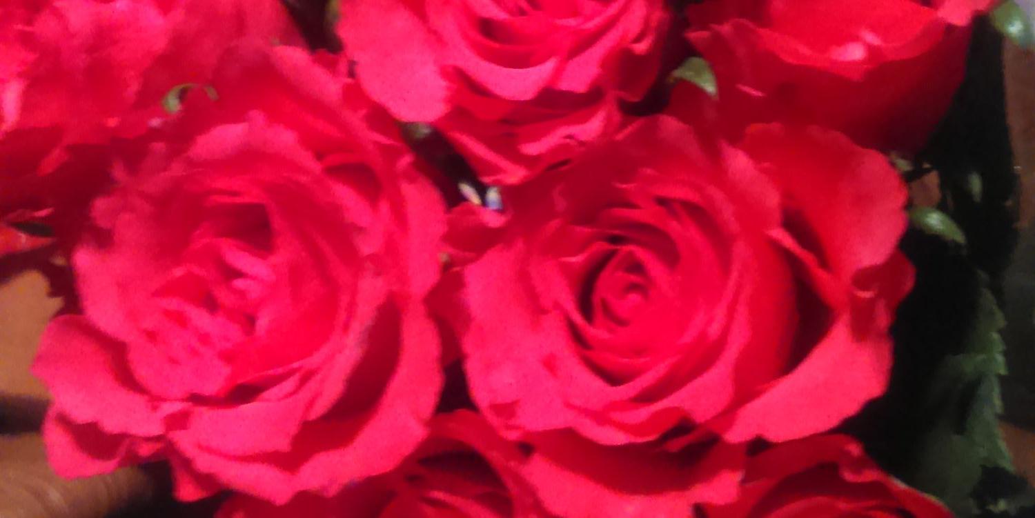 WickedxRose's profile banner image