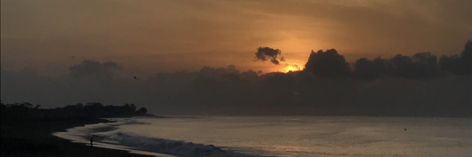 agneschoo's profile banner image