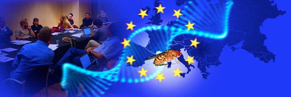 Dros_EU Profile Banner