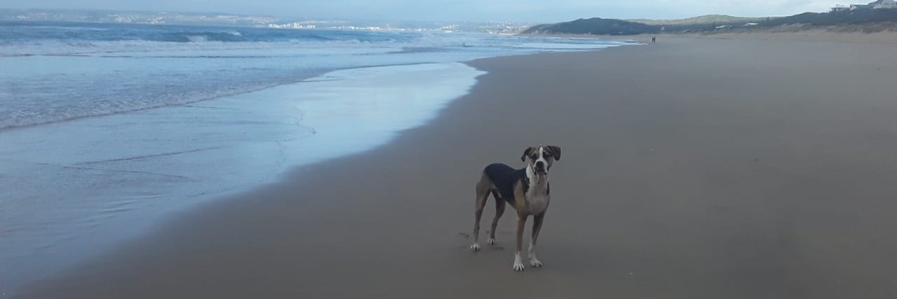 RouteofBays's profile banner image