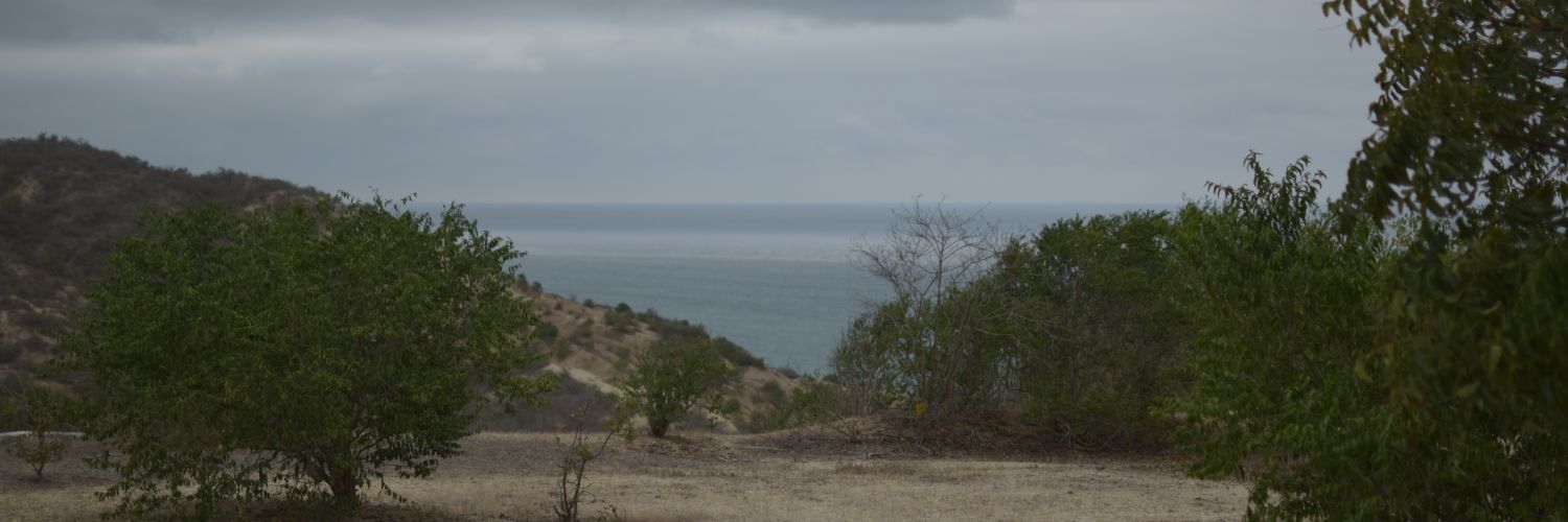 _HeyKevin_'s profile banner image
