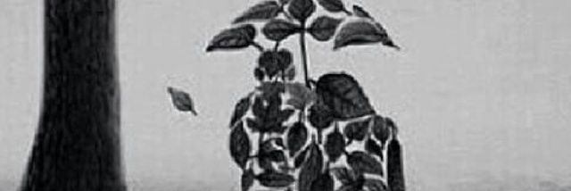 #قِصہ بكَماء banner