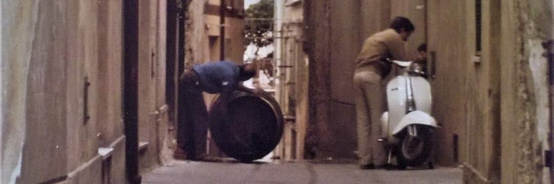 Salvo B. 🐈🐈‍⬛ banner