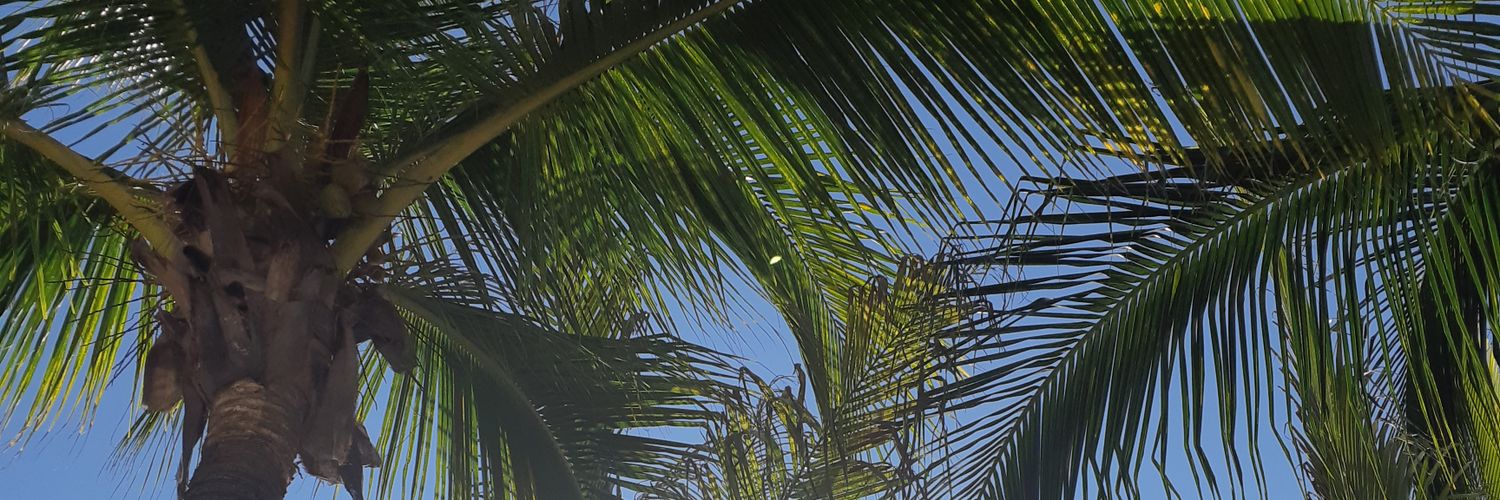 Mikerules666's profile banner image