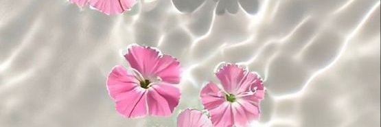_Wanda_x3's profile banner image