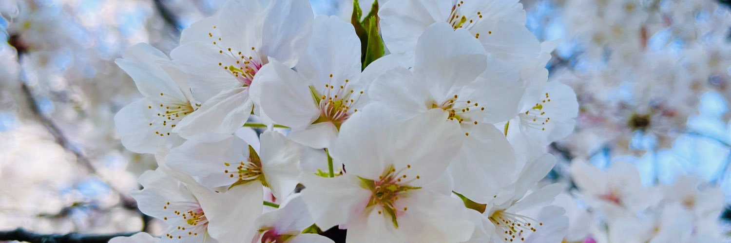 SuFuRe_2525's profile banner image