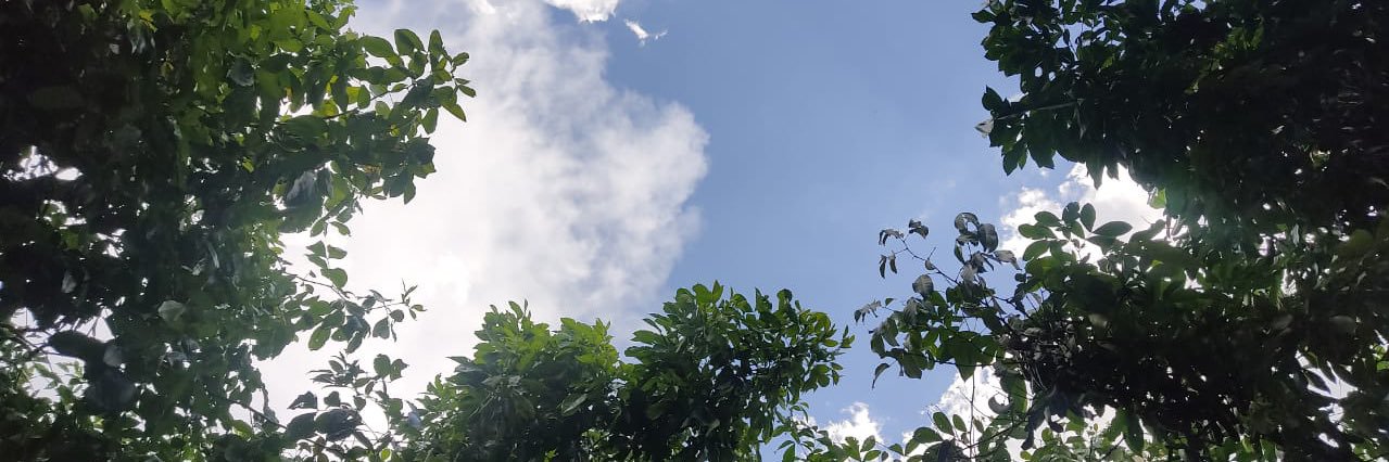 M_Araujoo12's profile banner image