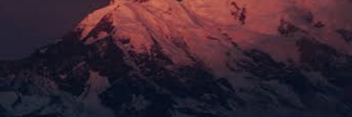 oldworldorder1's profile banner image
