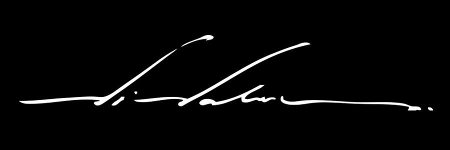 _vivalen's profile banner image