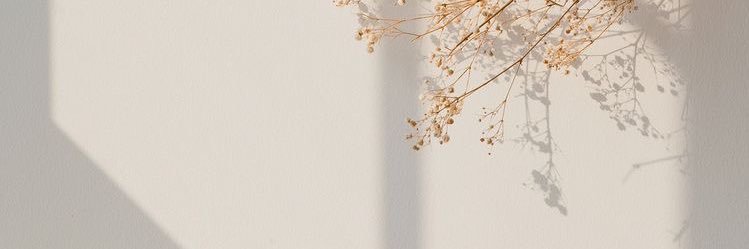 claudianadalg's profile banner image