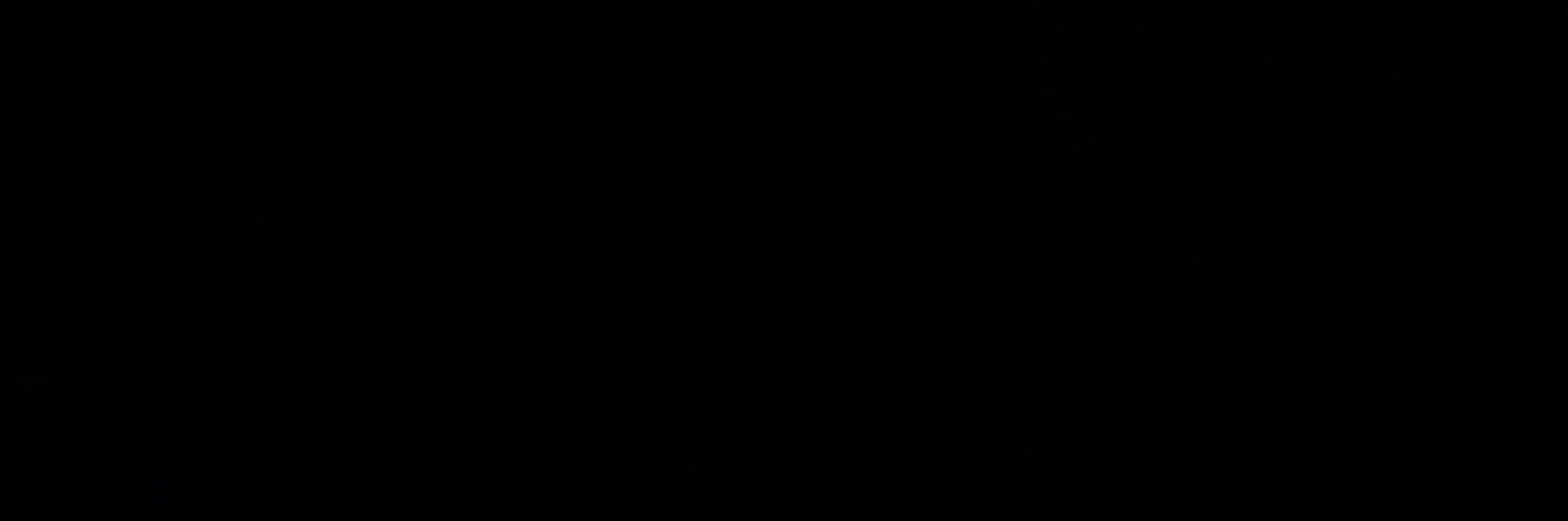 Nandi Bushell banner