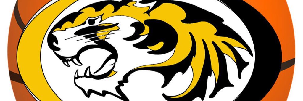 Tiger Basketball banner