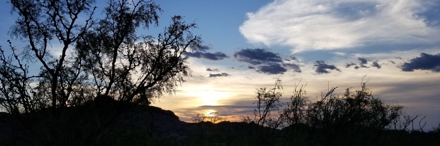 JeanLaura Padilla banner