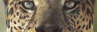 Jack_Mx610's profile banner image