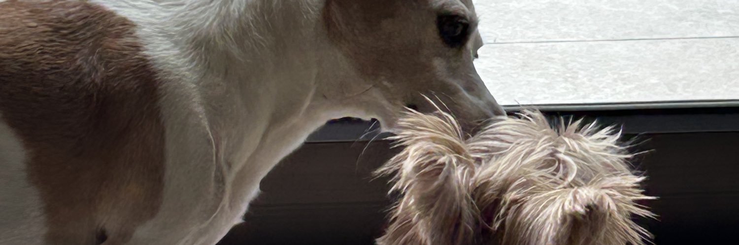 pimtaeng9's profile banner image