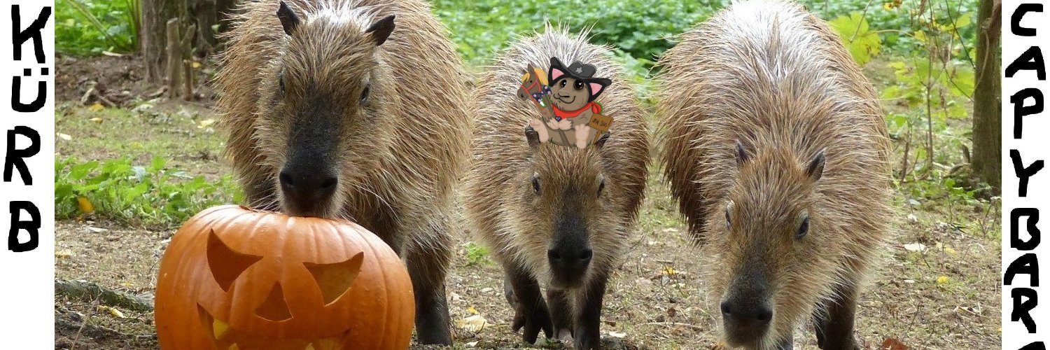 Kürben- und Capybarafan Bamling 67 banner
