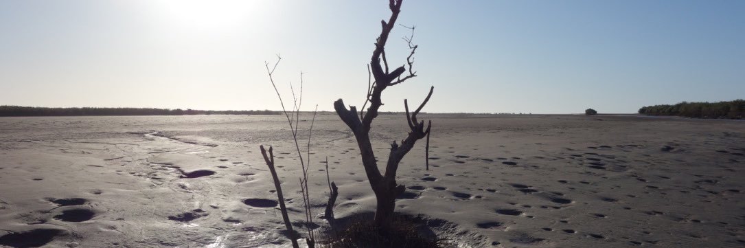 Pilbara☀️Wanderer ⛏🚶🏻 banner
