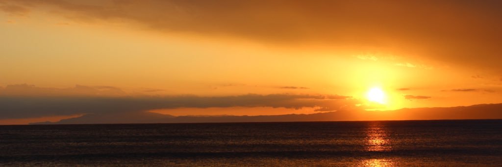 屍 banner
