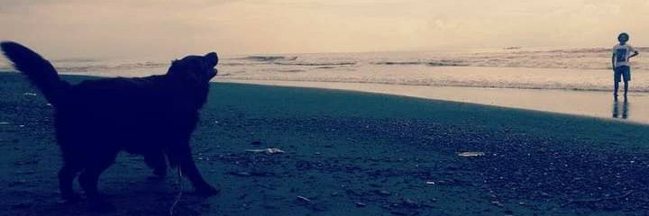 ian j stevenson banner