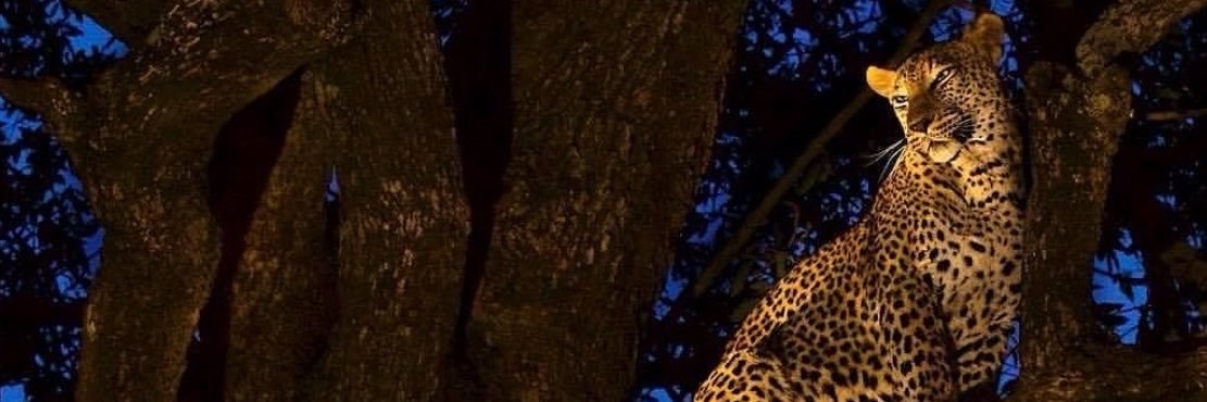 0__t8's profile banner image