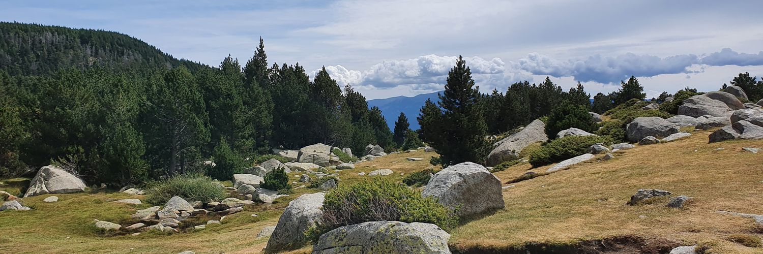 Mafalda2x2's profile banner image