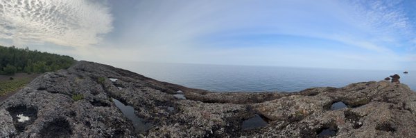 Artichoke2603 Profile Banner