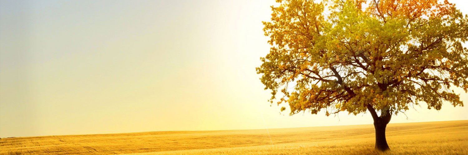 Thinklab Cancer banner