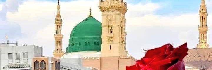 HAREEM MALIK banner