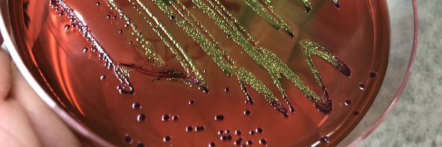 Eduardo Pérez Roth banner