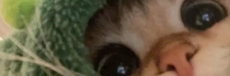 _micaelaxg's profile banner image
