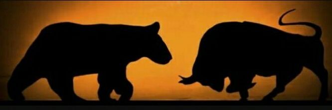 Crypto Invincible💎 banner