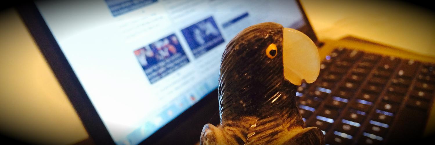 HotBeakWorld's profile banner image