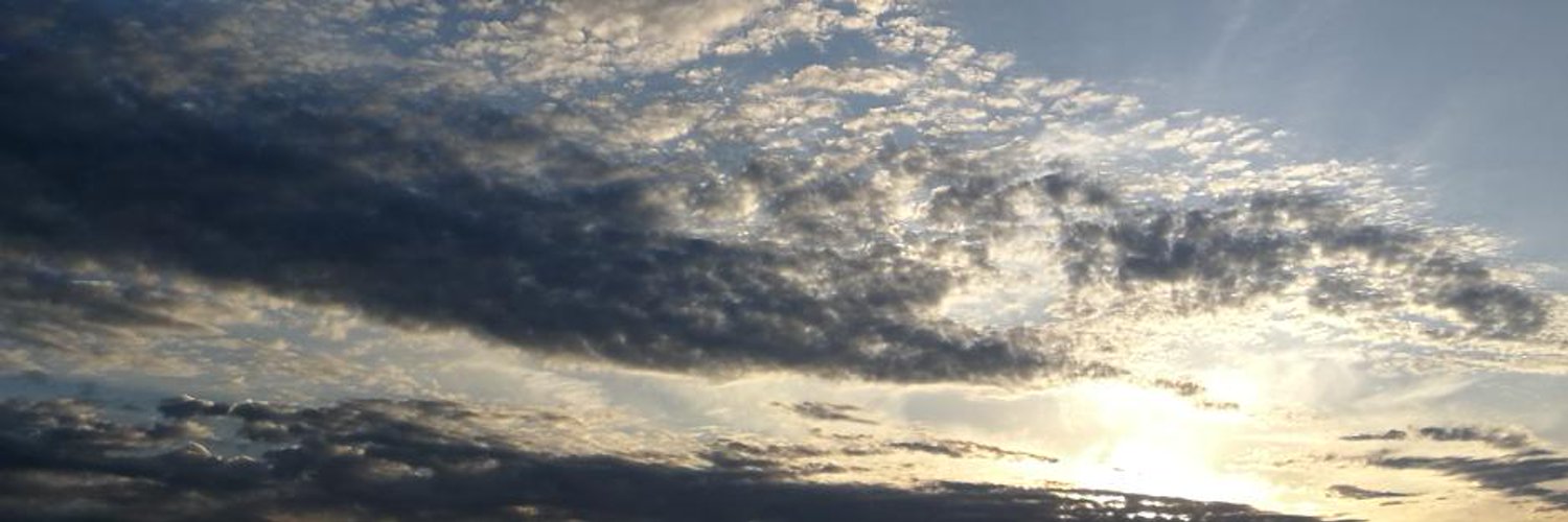 negi8take's profile banner image