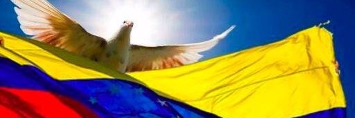 TSJ_Legítimo banner