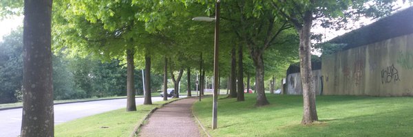 mblopes1966 Profile Banner