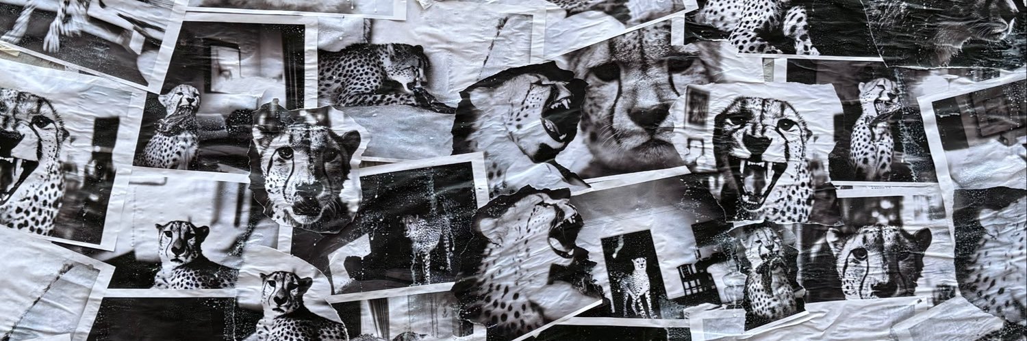mateoribak's profile banner image