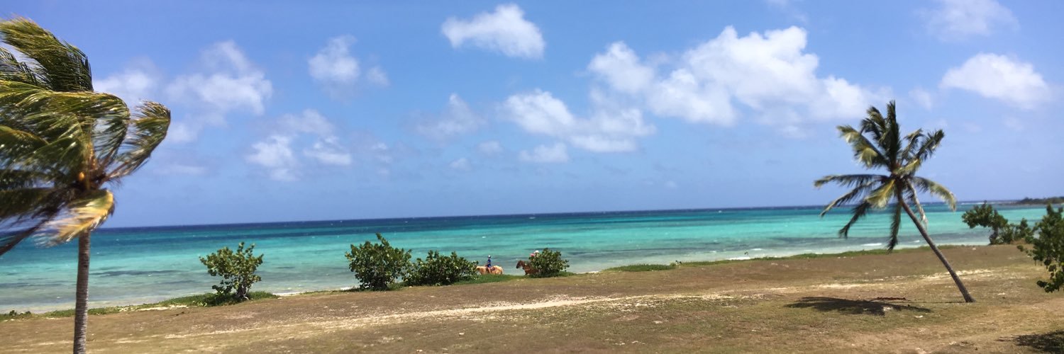 Rogier Ten Kate banner