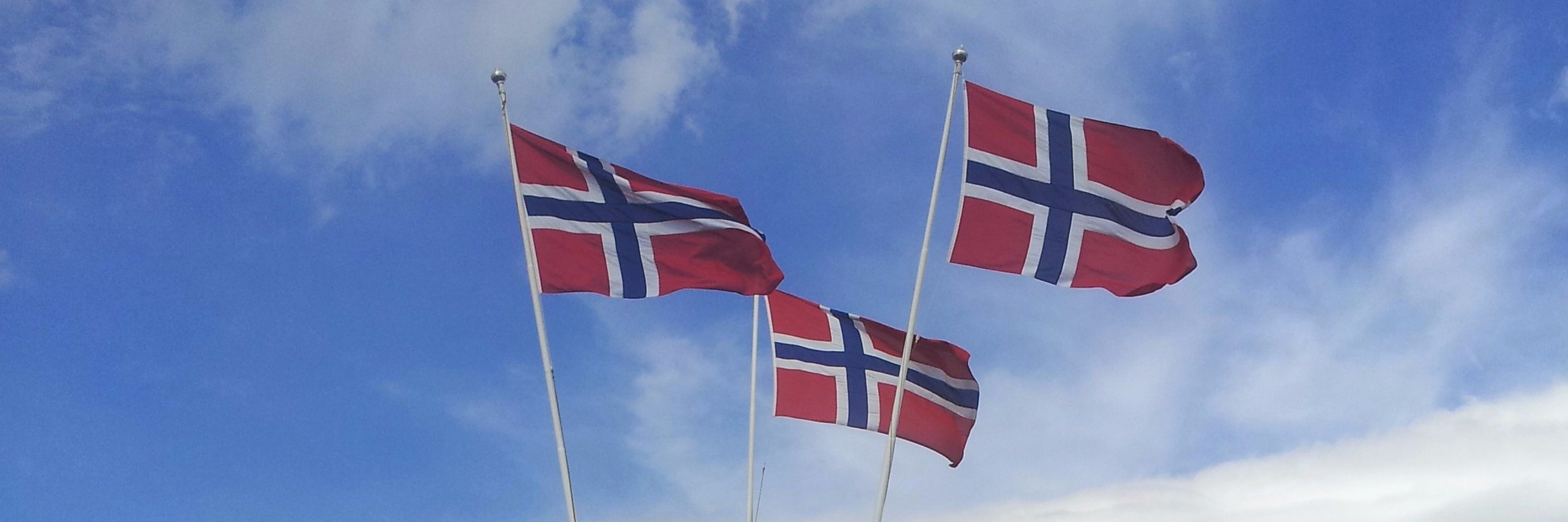 Flaggkomiteen banner