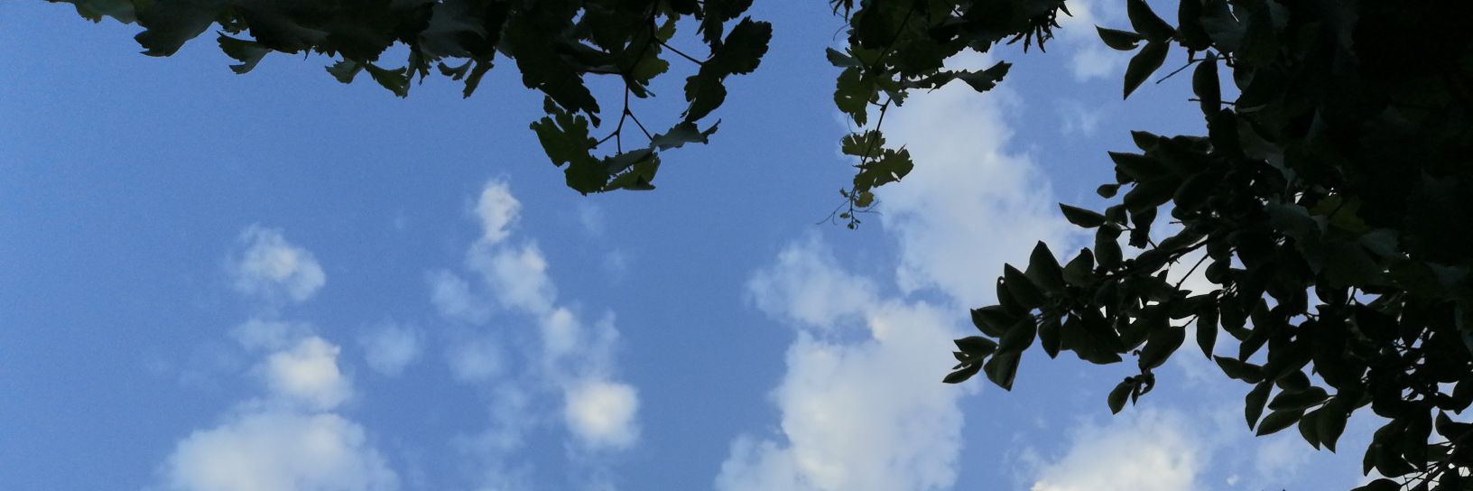 faezehm1994's profile banner image