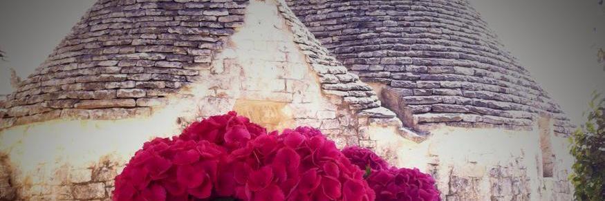 lemoredinella's profile banner image