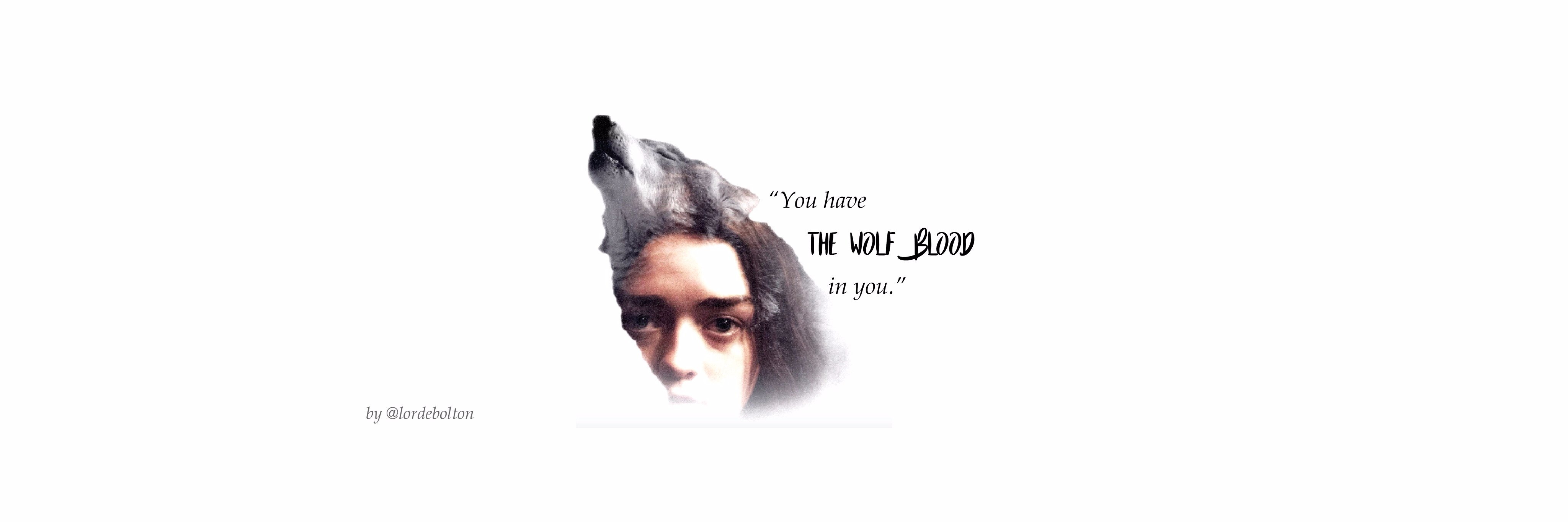 Arya Stark banner